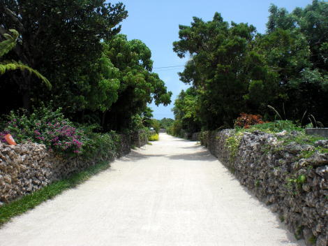 110729_1.jpg
